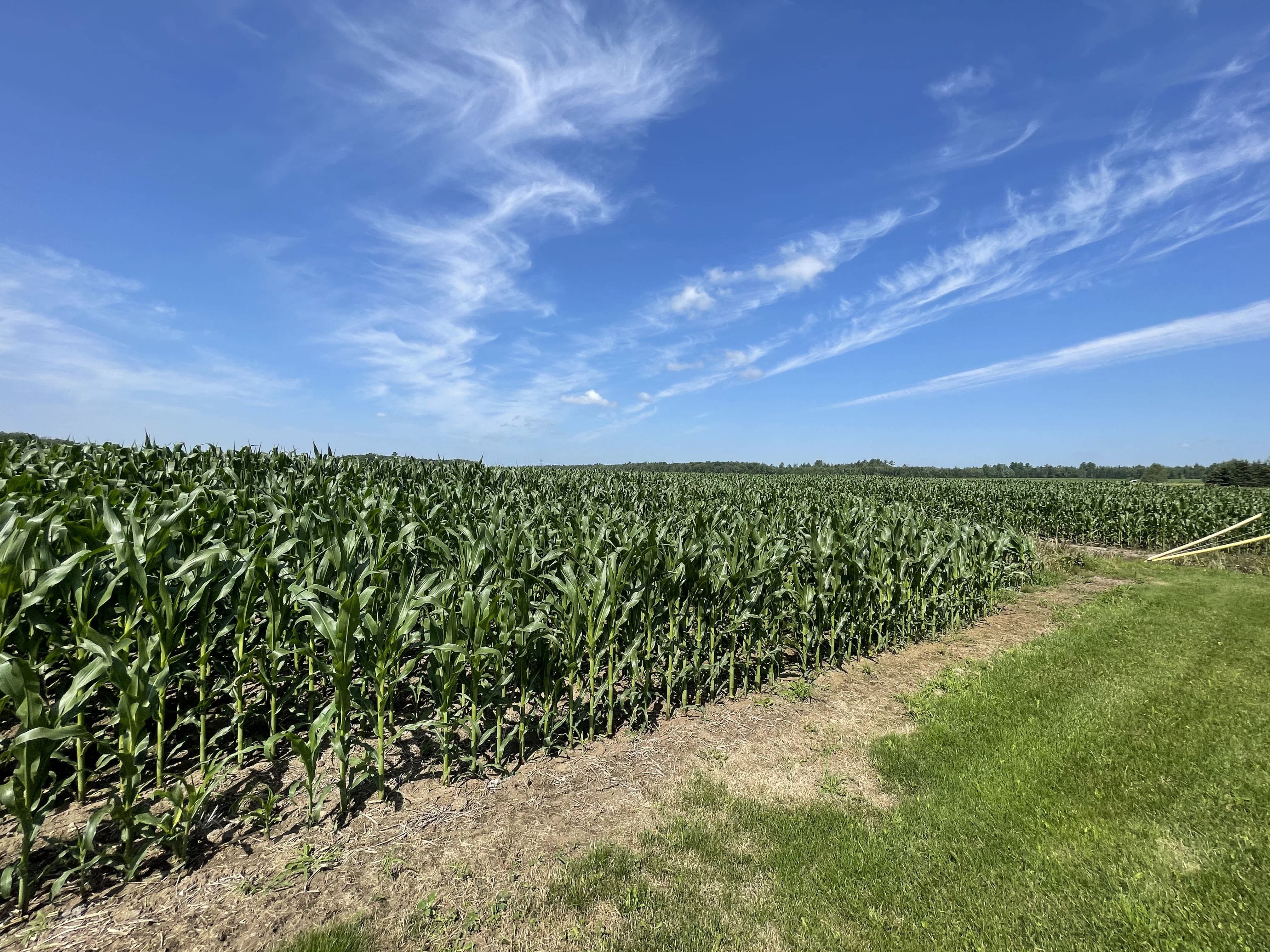 La perte des terres agricoles se poursuit
