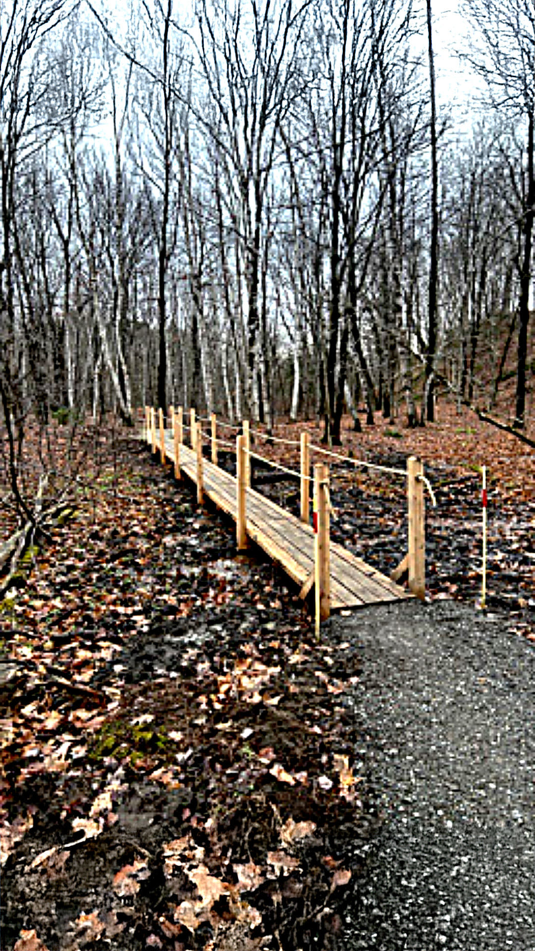 Améliorations au parc Valero Les Écarts