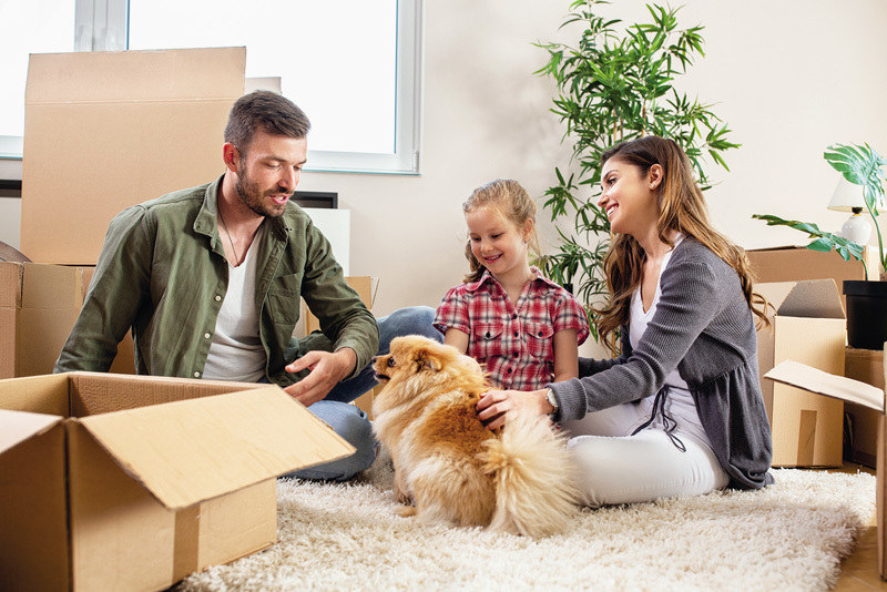 3 conseils pour trouver plus facilement un logement qui accepte les animaux 