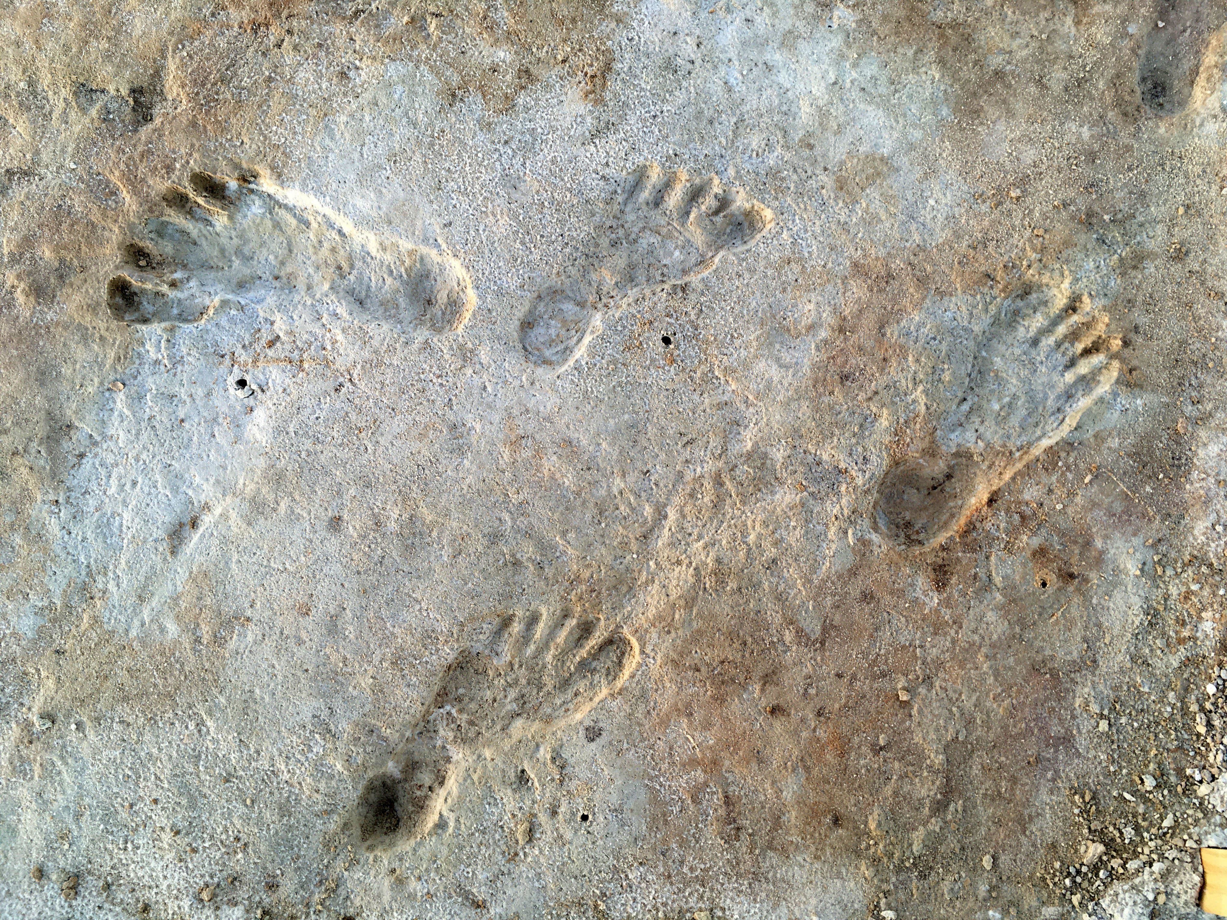 Des traces de pas de 22 000 ans en Amérique?