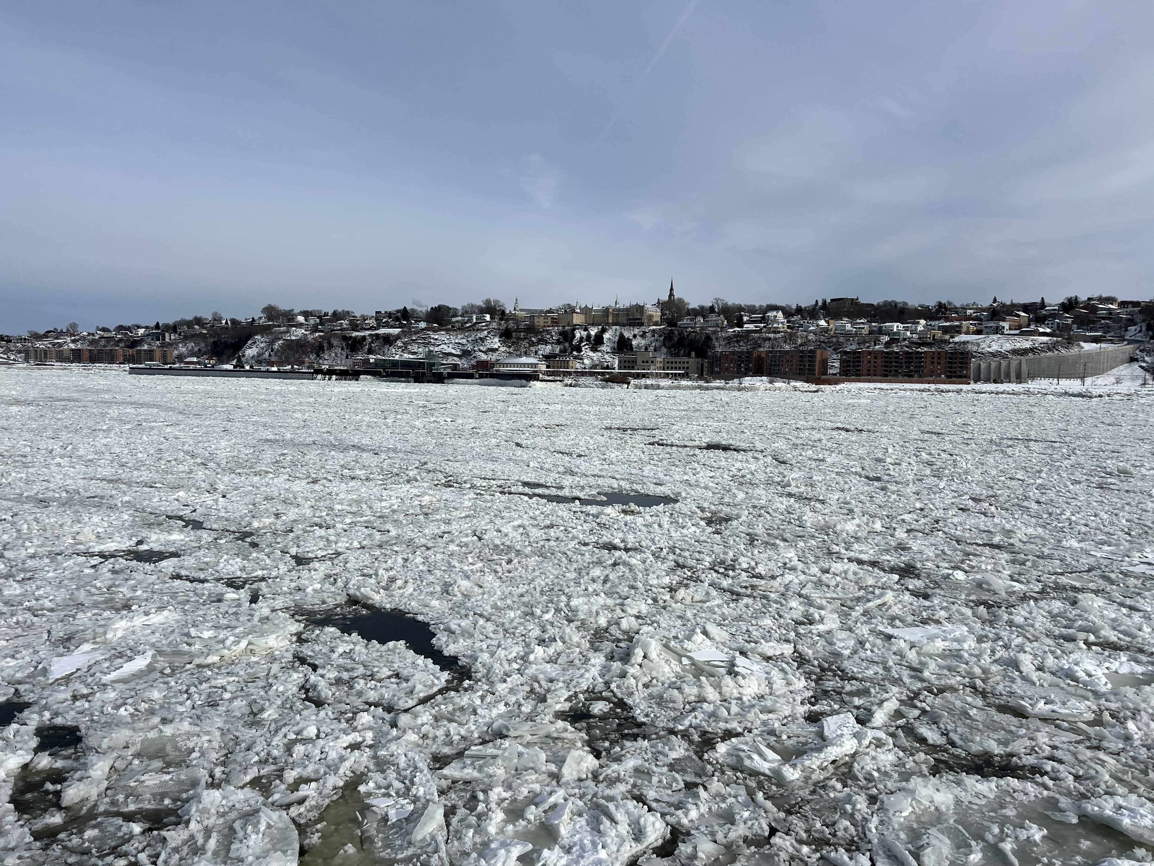 Lévis au premier rang des villes de 100 000 habitants et plus