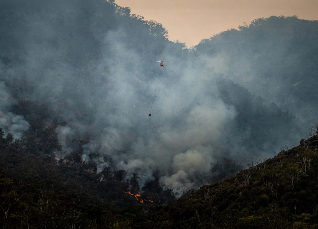 L’effet refroidissant des feux de forêt