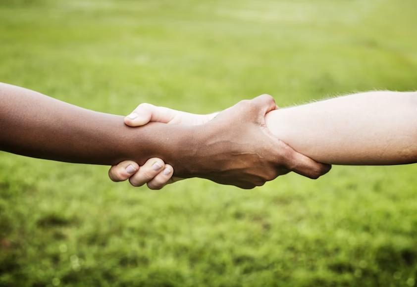 Promutuel dévoile les organisations récipiendaires