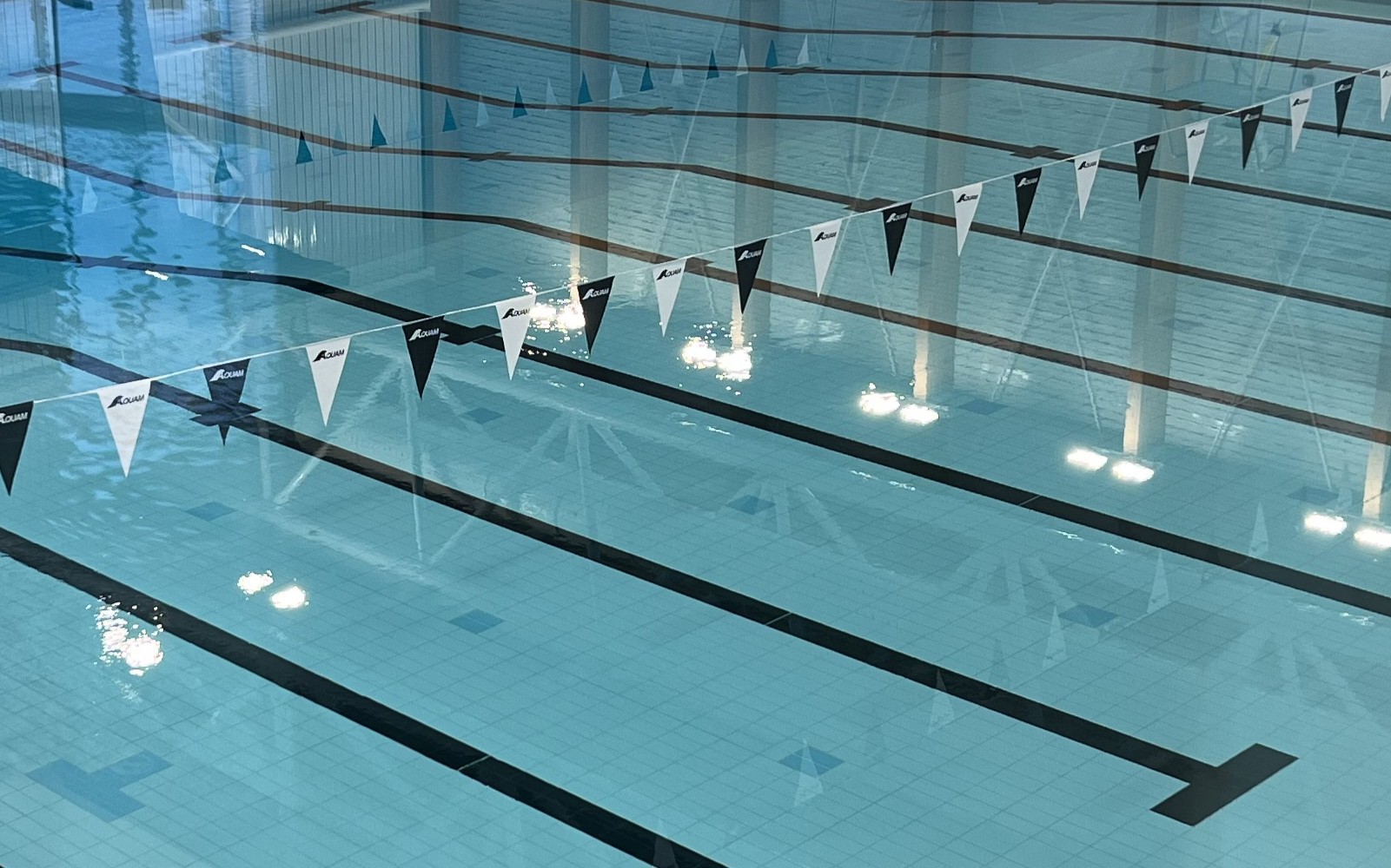 La Chaudière-Appalaches se démarque aux jeux provinciaux Olympiques spéciaux