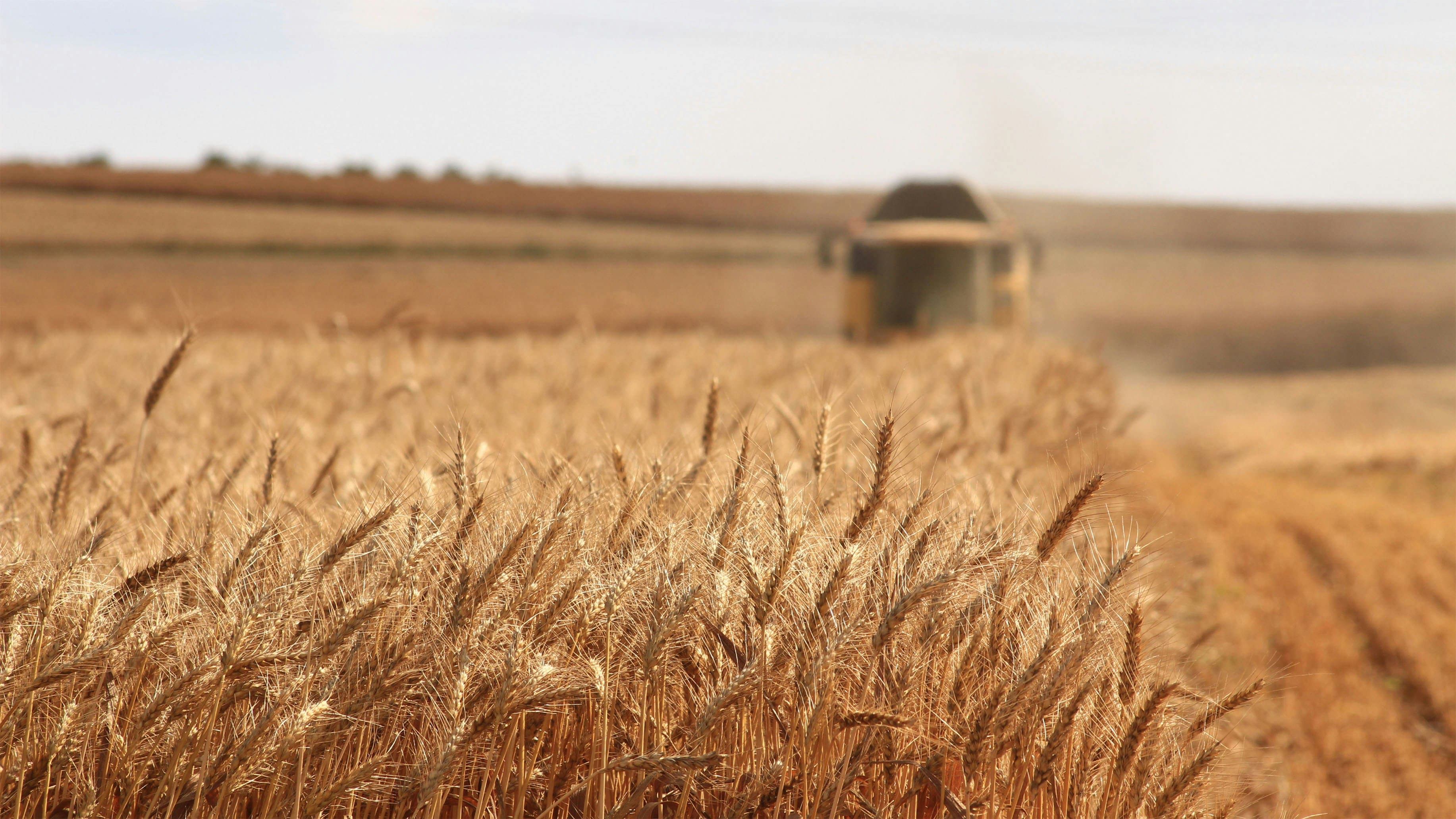 Québec réserve une enveloppe pour appuyer les jeunes agriculteurs
