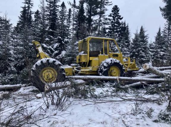 Décès d’un opérateur forestier : la CNESST dévoile les causes de l’accident