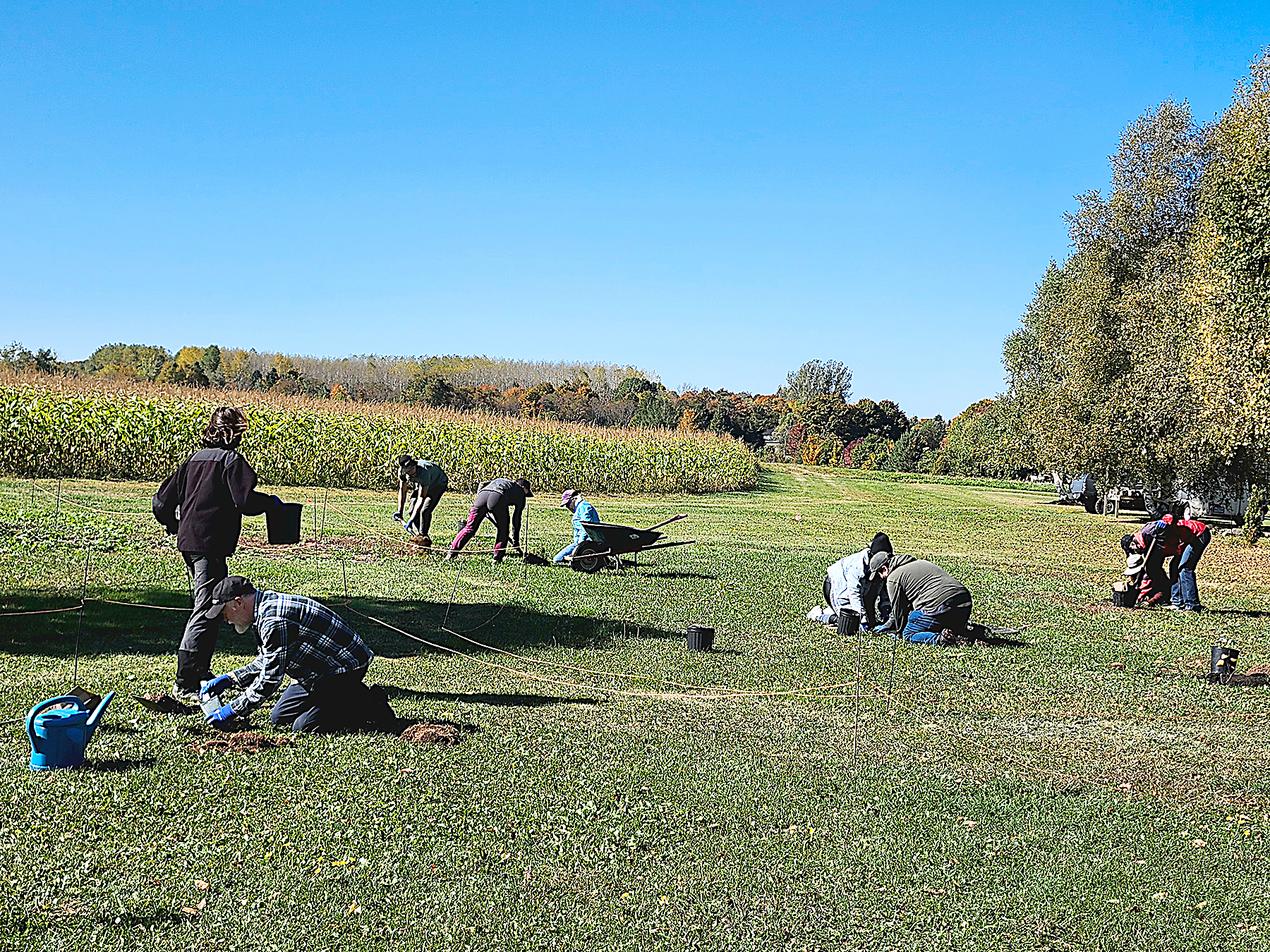 Une forêt nourricière prend racine à Lévis
