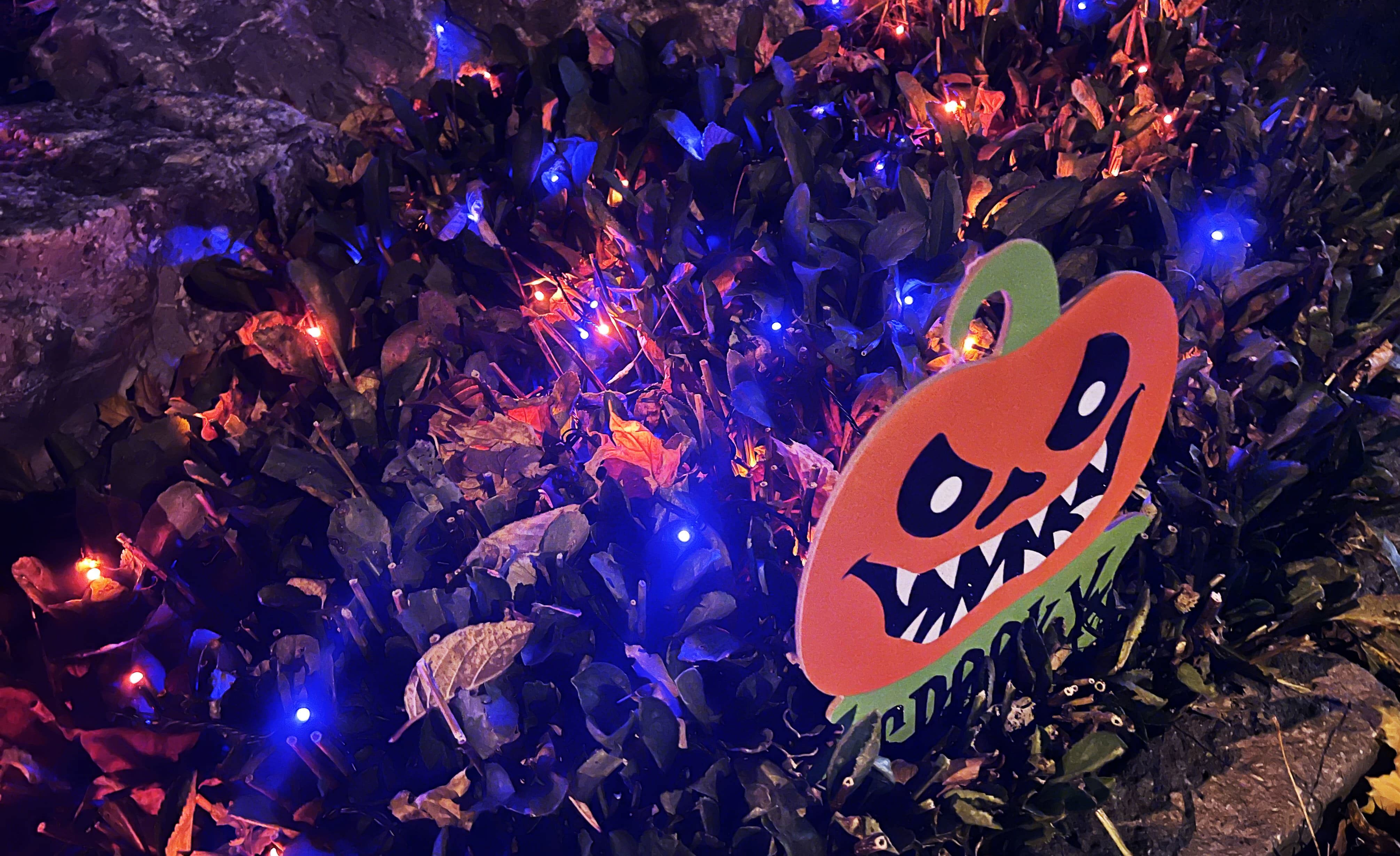 Une Halloween sous la pluie