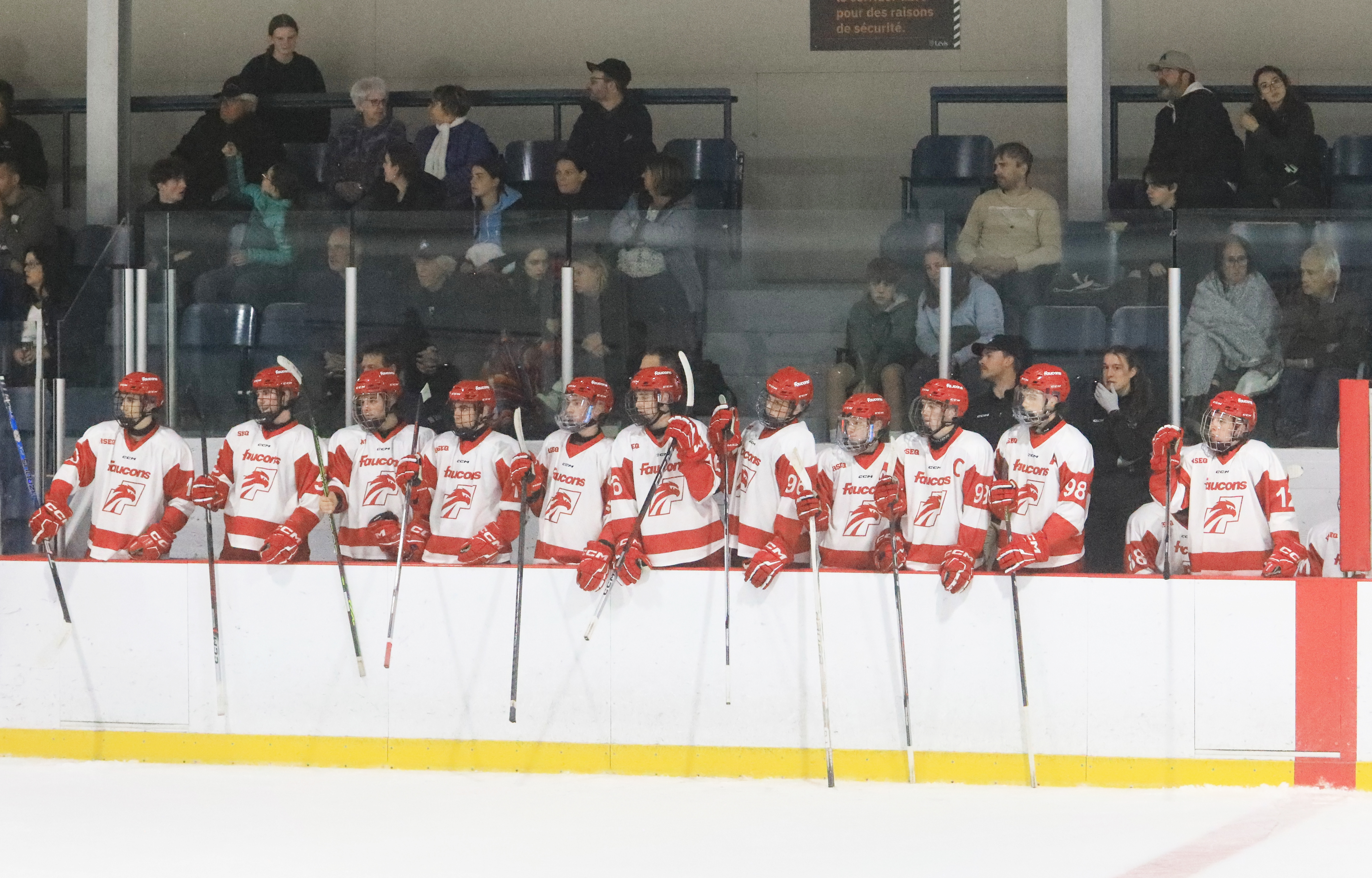 Nouvelle victoire pour les Faucons 
