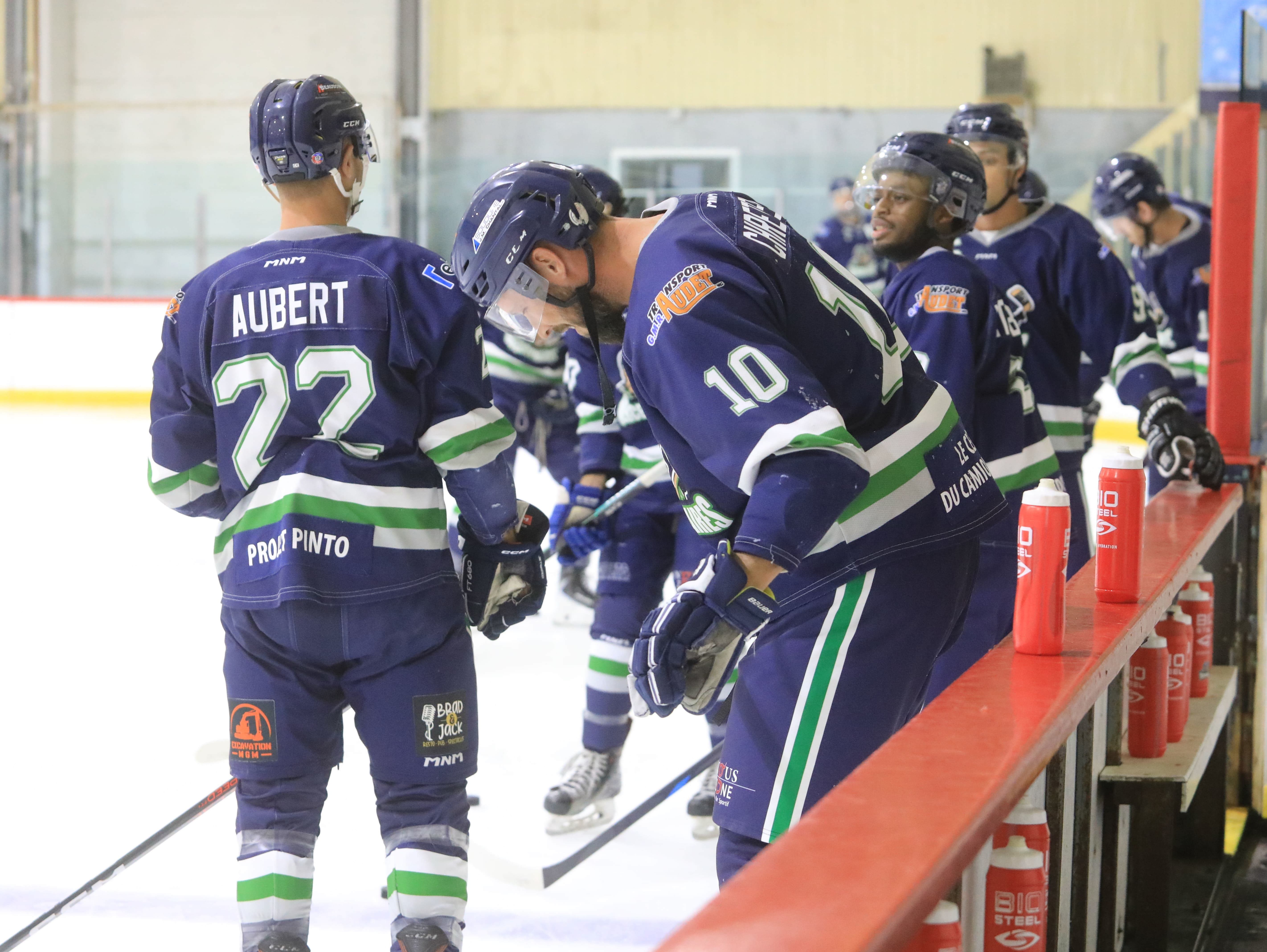 Défaite des Mercenaires