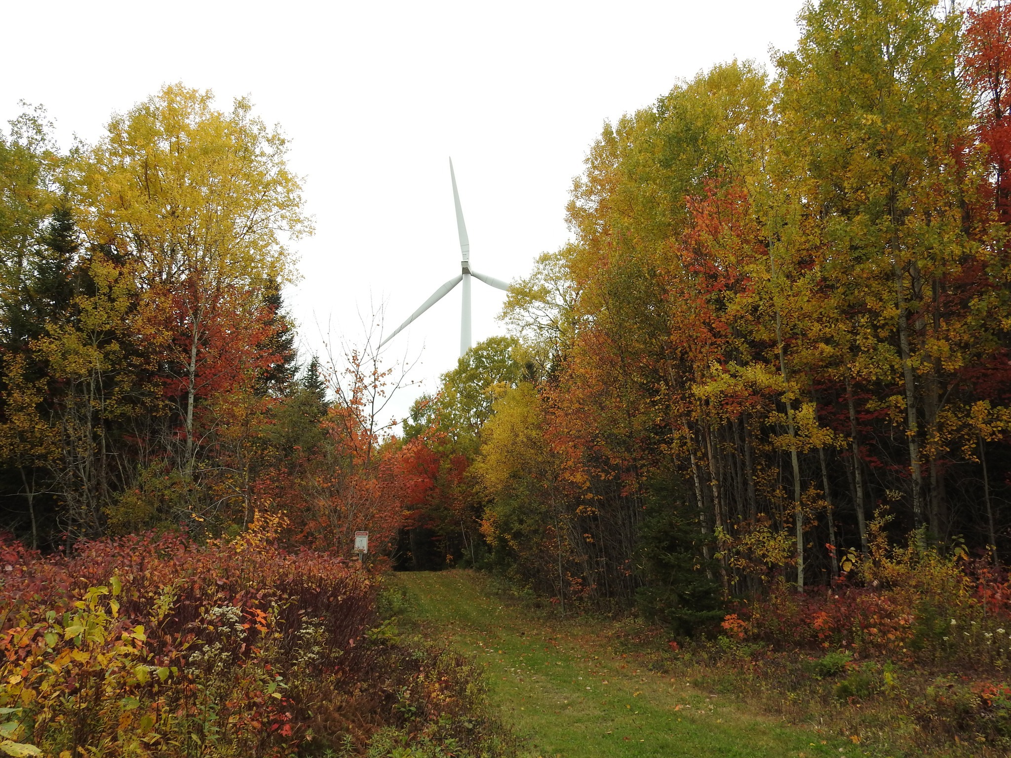 Le parc éolien Lotbinière Ndakina : un ferme engagement à développer un projet éolien responsable au bénéfice de tous