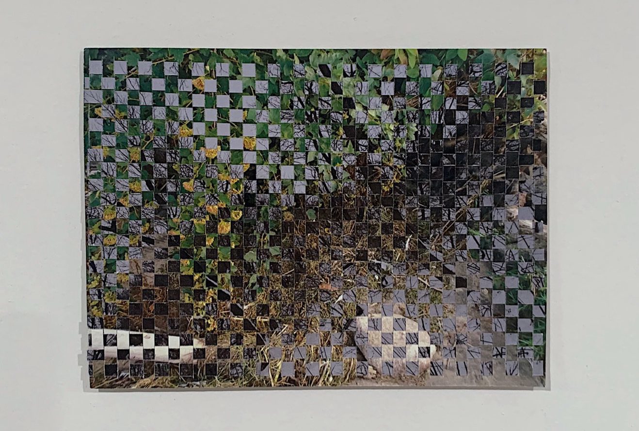 L’ECQSN annonce sa programmation 2026