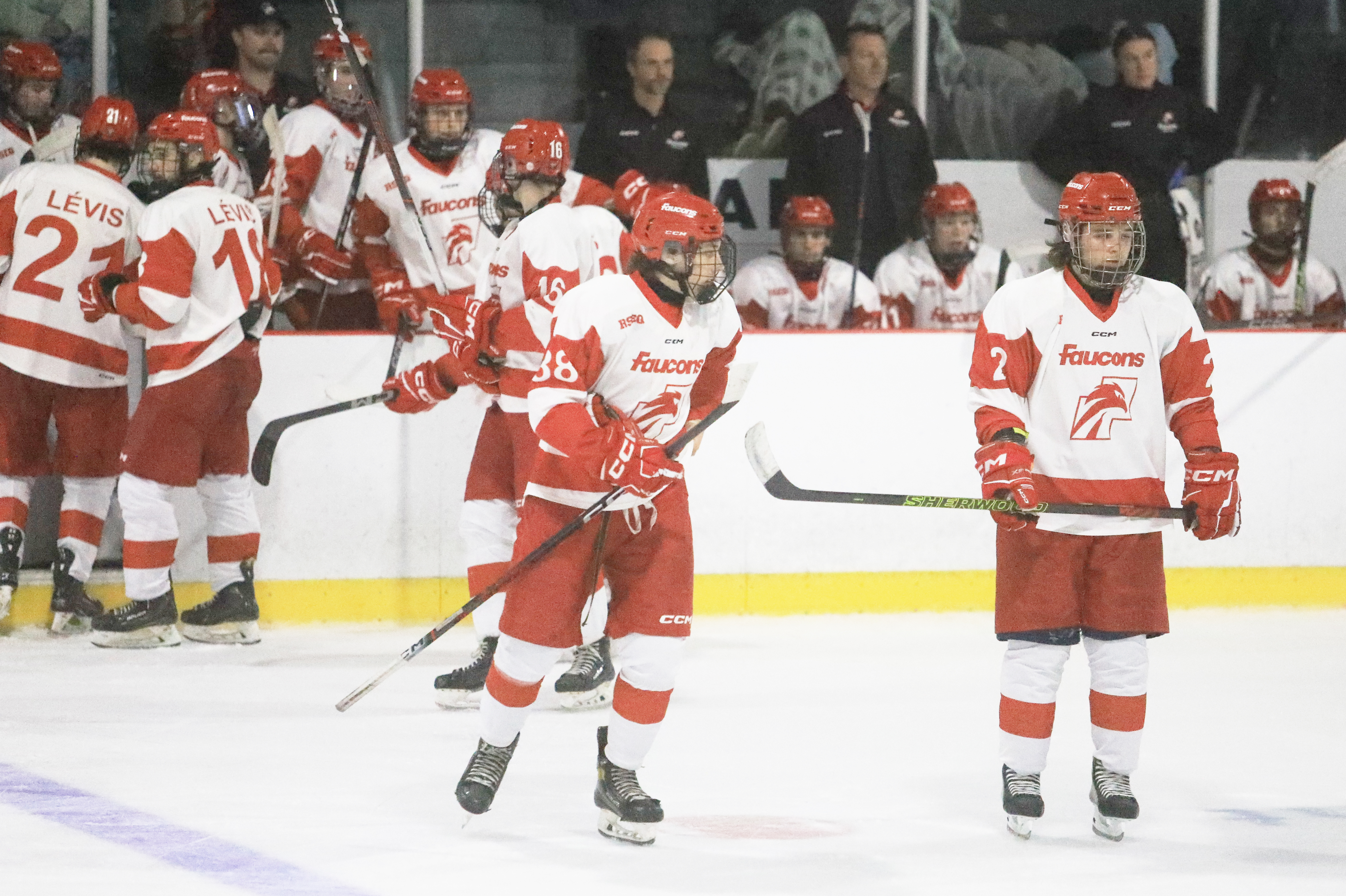 Les Faucons remportent un nouveau gain 