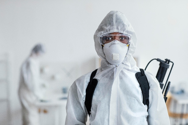 Pourquoi faire appel à un exterminateur pour la gestion parasitaire des commerces?