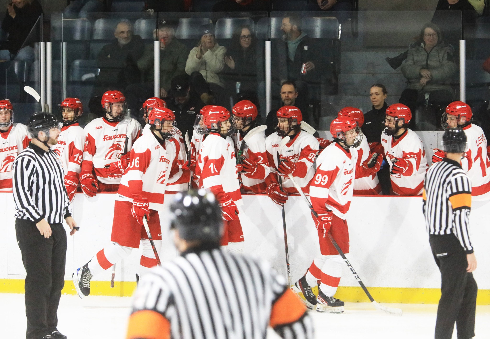 Fin de semaine en deux temps pour les Faucons