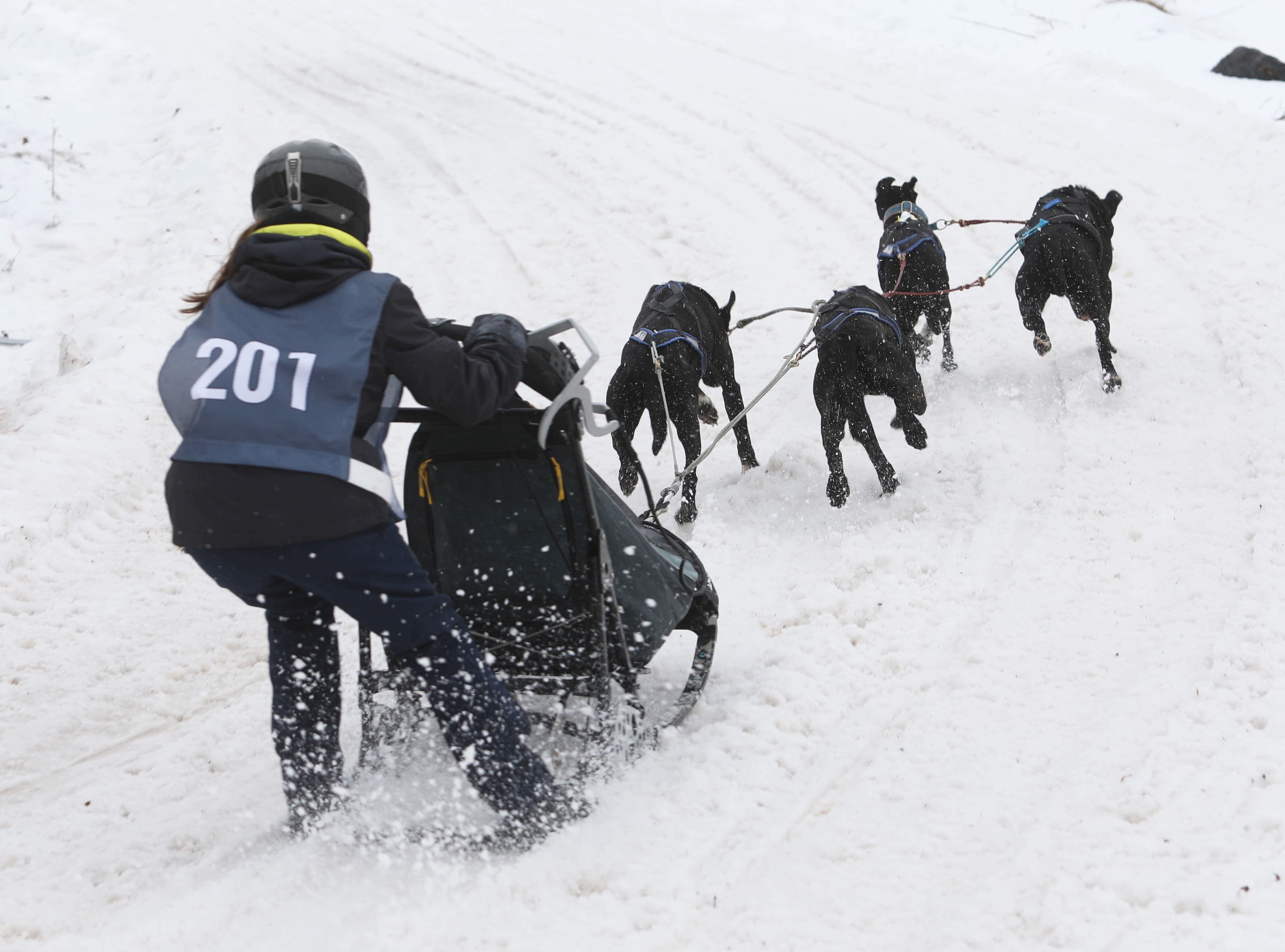 Quoi faire pendant la fin de semaine du 7 février 2026?