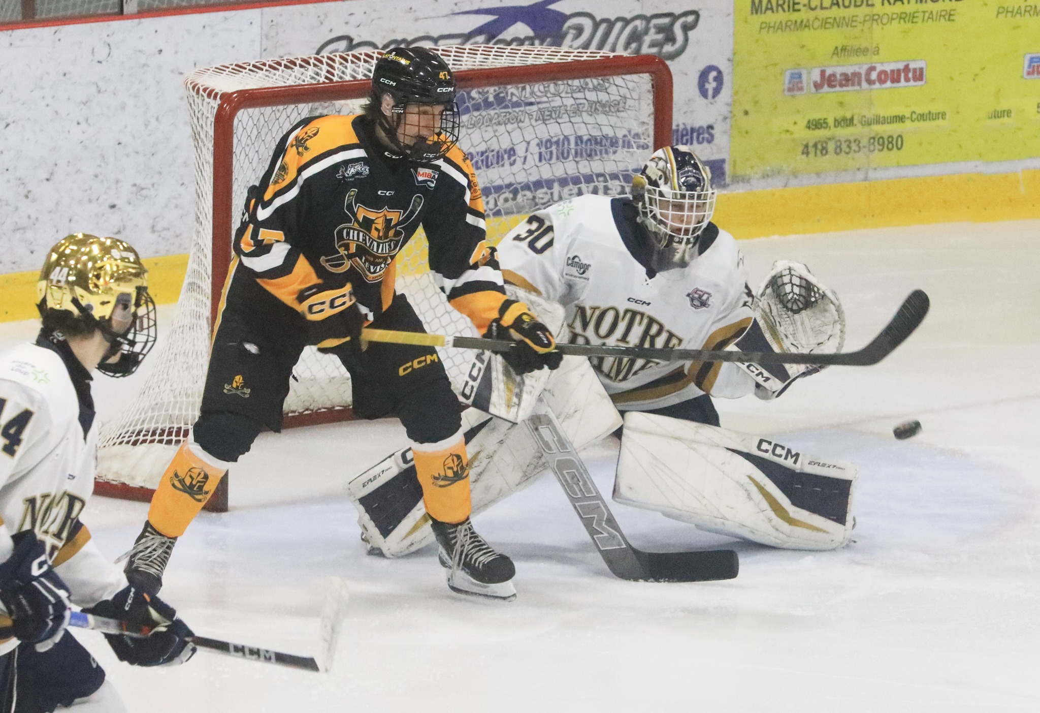 Les Chevaliers balaient les Albatros 