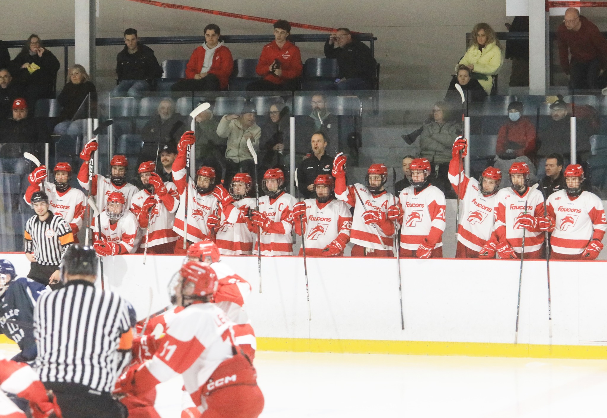 Les Faucons renouent avec la victoire 