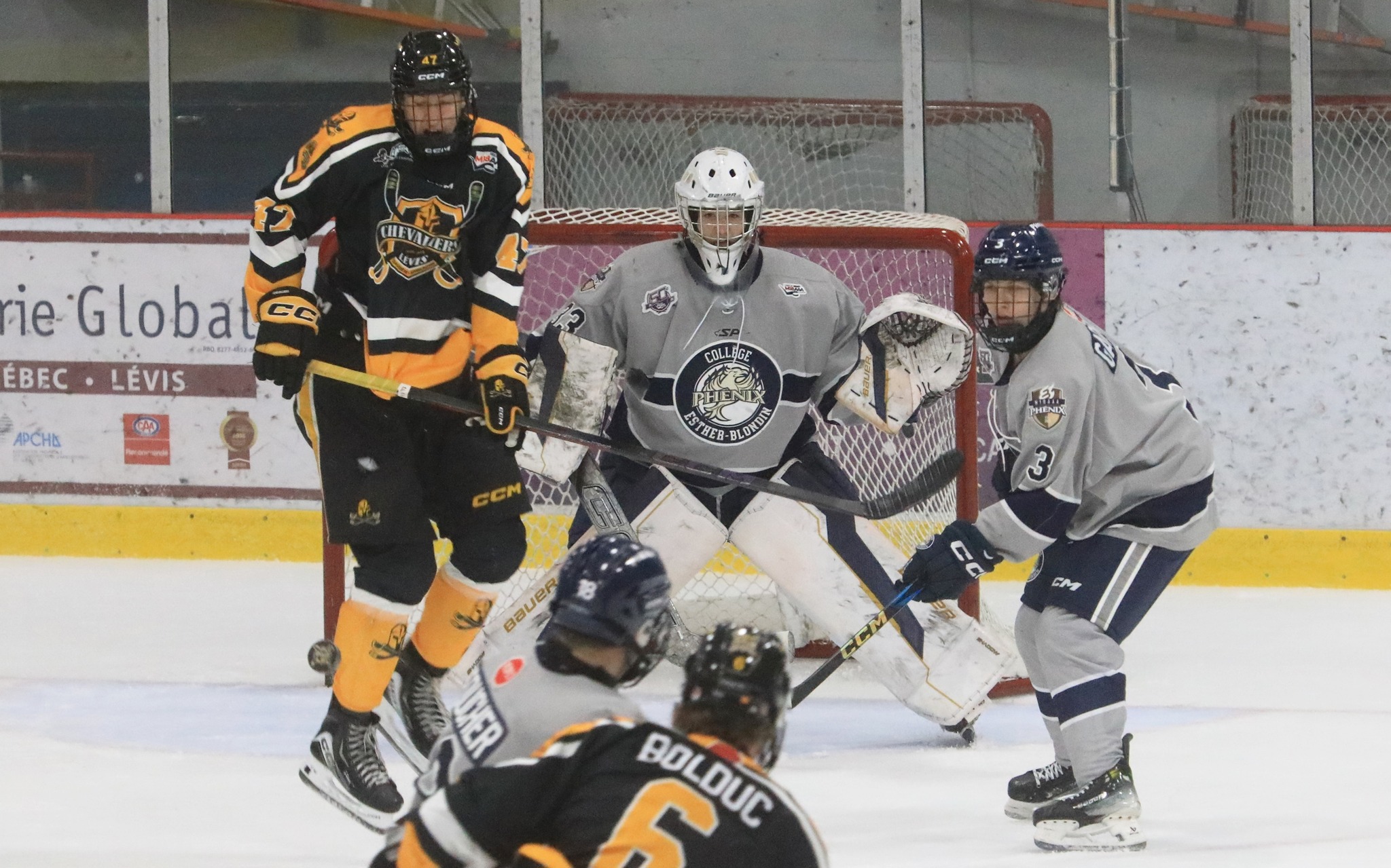 Les Chevaliers et le Phénix à égalité 1 à 1