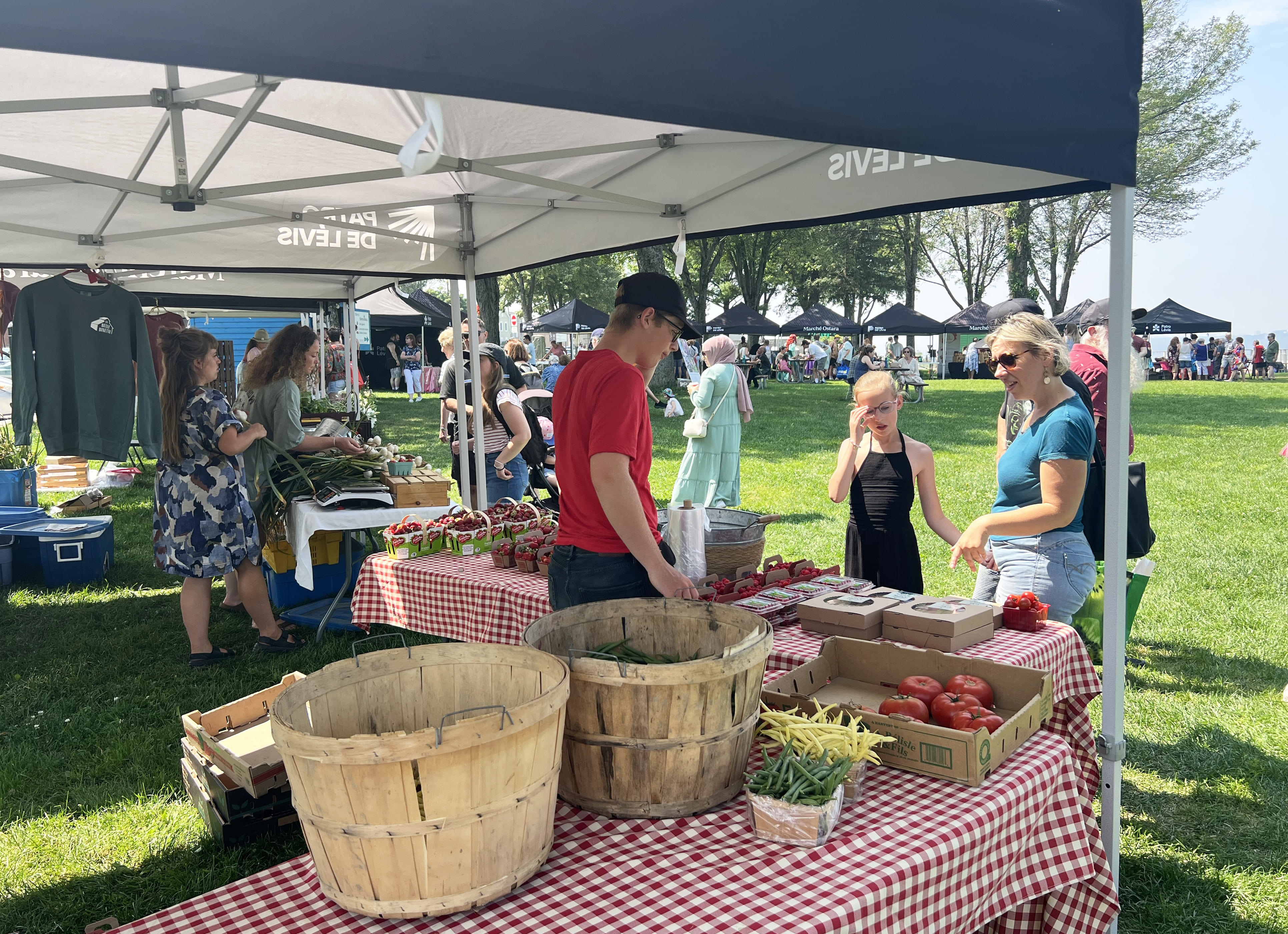Le Marché fermier Ostara de retour pour une sixième saison
