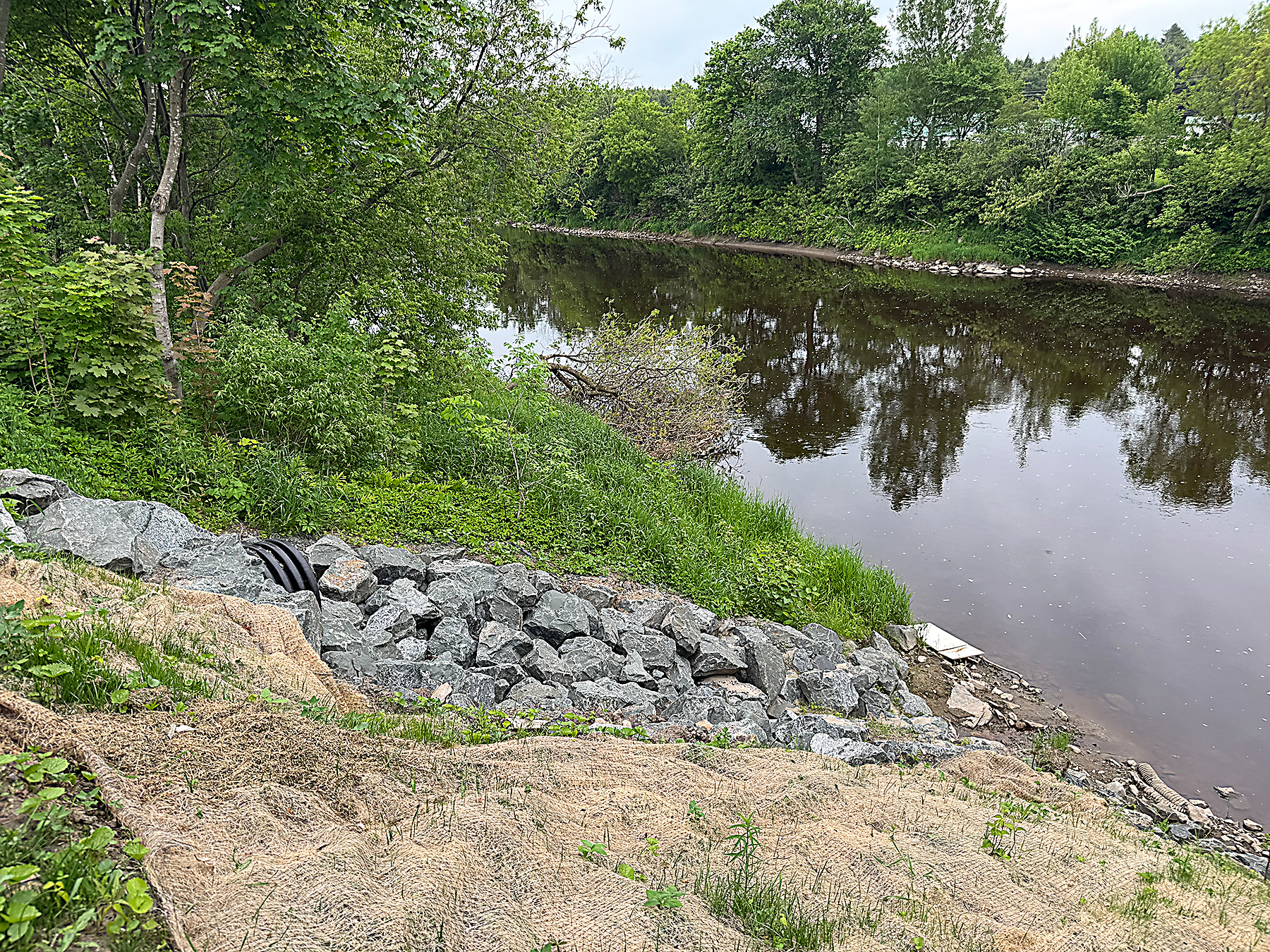 Un tuyau déversant les eaux pluviales inquiète des résidents de Saint-Étienne-de-Lauzon