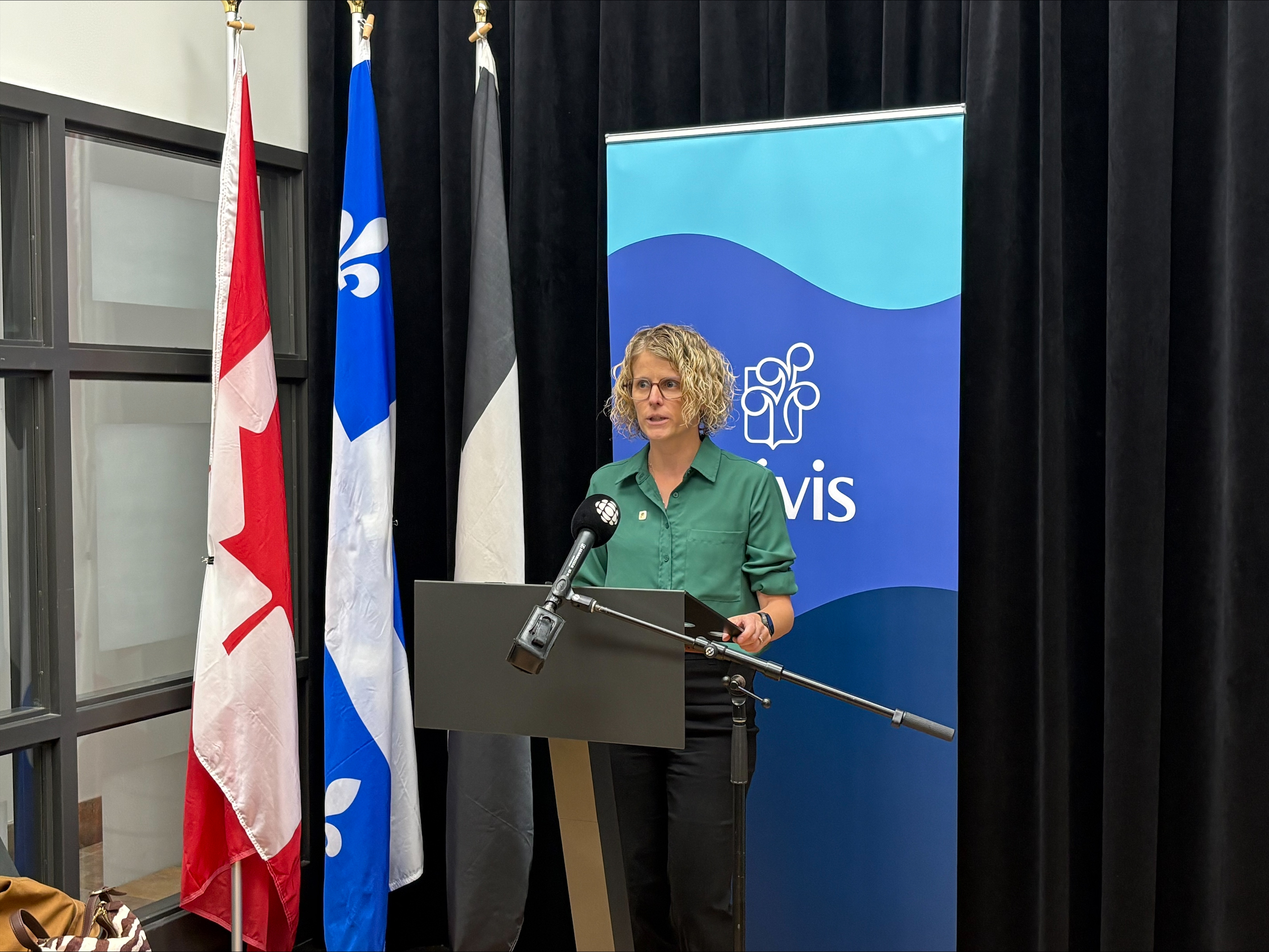 «Climat toxique» chez Prospérité Lévis, Anick Tremblay quitte le parti