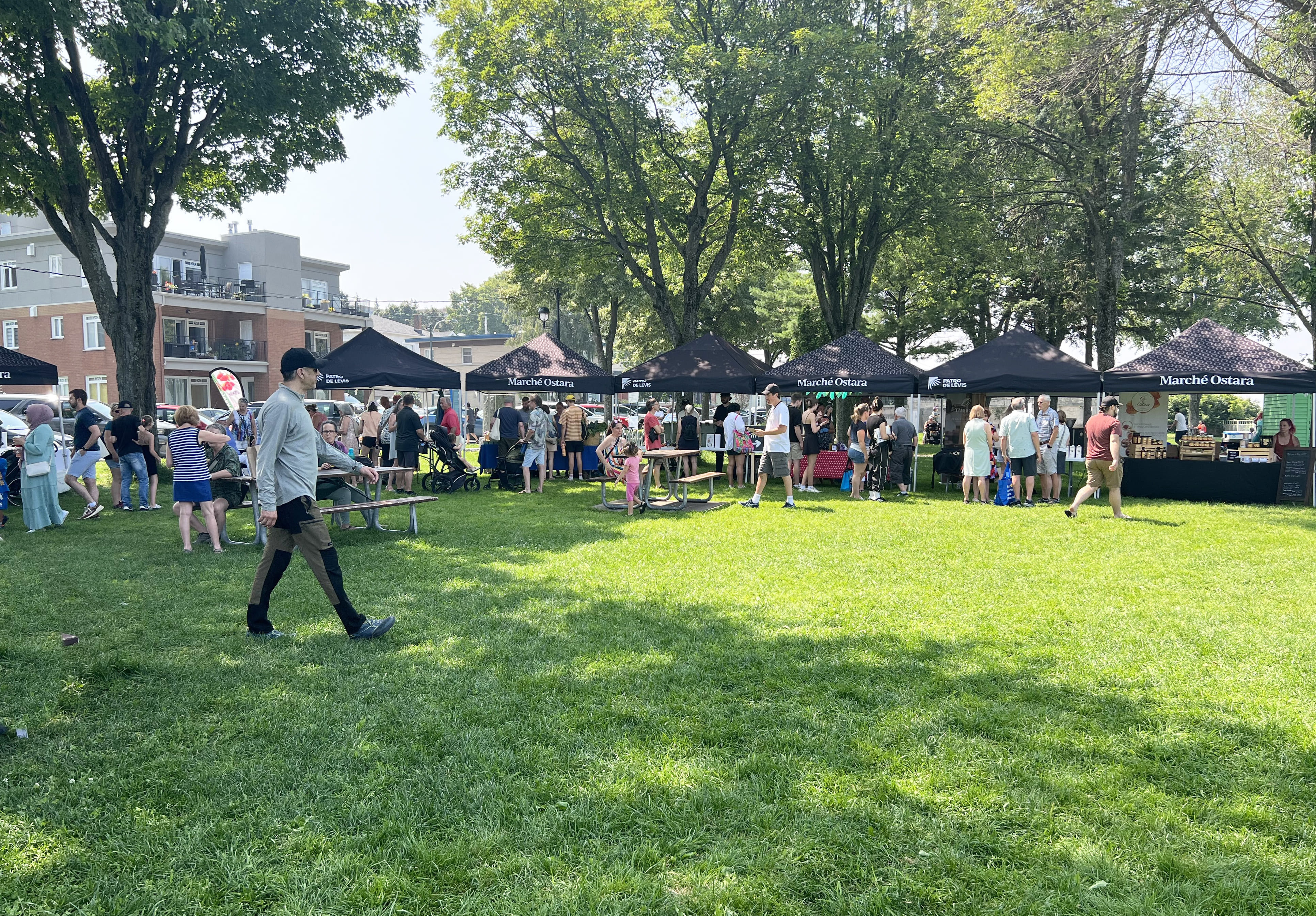 Quoi faire lors de la fin de semaine du 25 juillet?