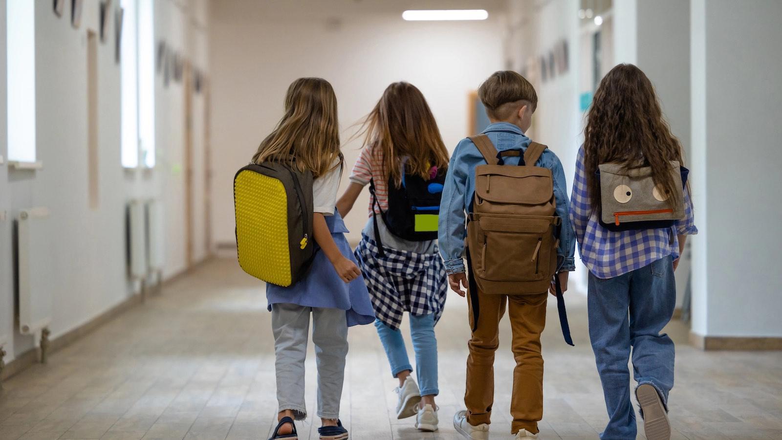 École ensemble veulent que les partis se mouillent