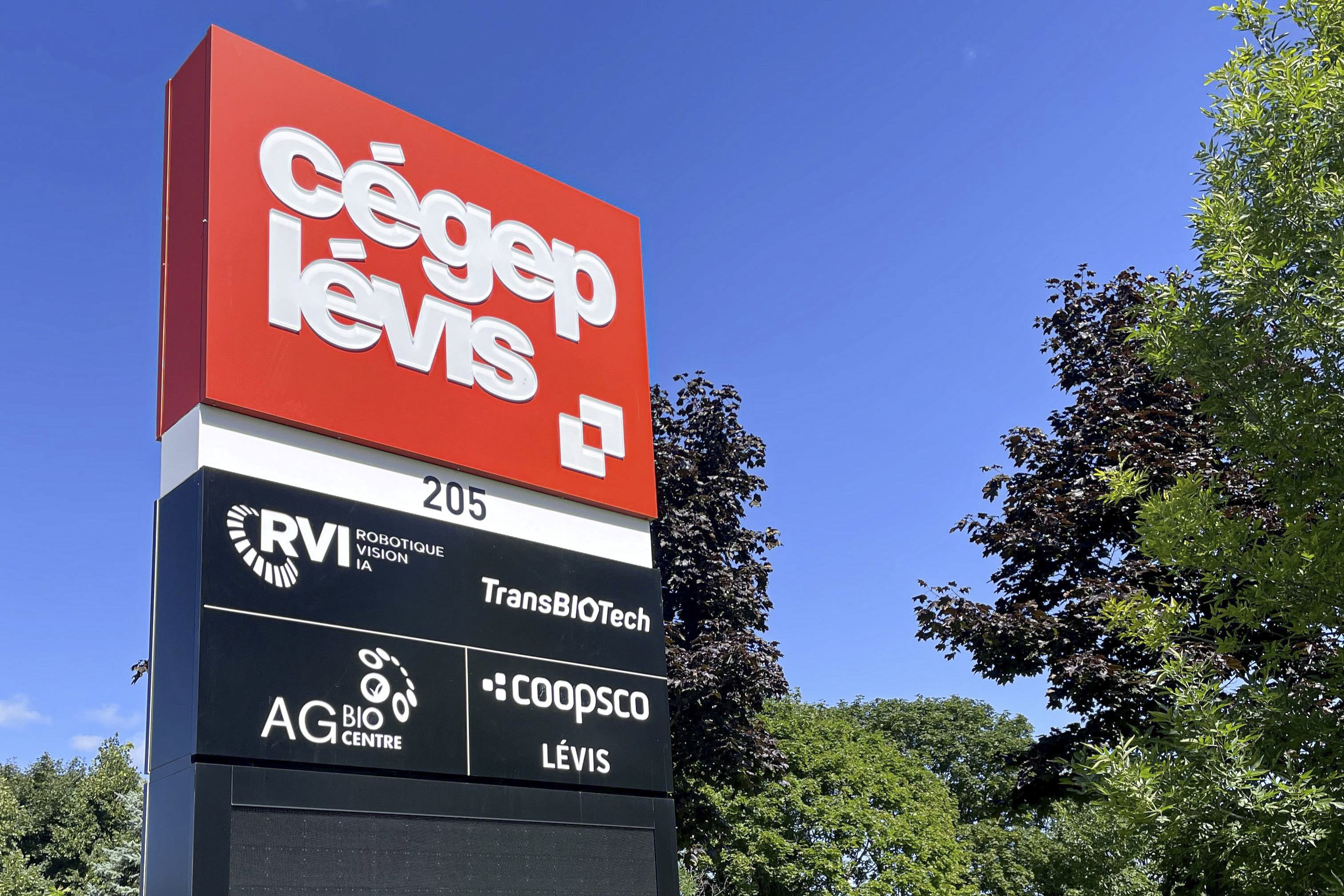 Un nombre record d’étudiants au Cégep de Lévis